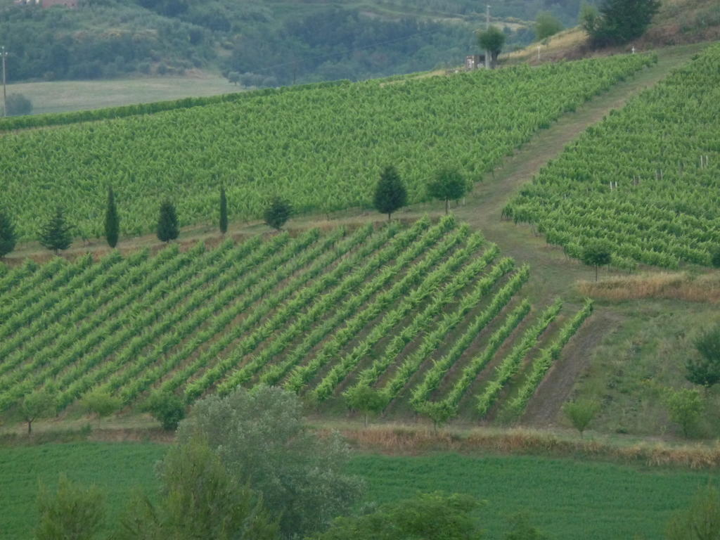 Azienda Agricola Ed Agrituristica Cafaggio Villa San Miniato Luaran gambar